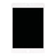 Apple iPad Mini 5 - LCD zaslon + zaslon osjetljiv na dodir (White) Refurbished