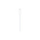 Magnetni brzi punjač za USB-C kabel za Apple Watch, 1 m, plastika, bulk