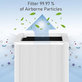 Blueair Blue Pure 211+ - HEPA filter (Aktivni ugljen)