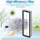 HEPA filter, 2 kom za Xiaomi Dreame L10s Pro Gen2, D10s Plus Gen2, L10s Ultra