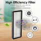 HEPA filter, 2 kom za Xiaomi Roborock Qrevo Curv, Qrevo Edge, Qrevo MaxV, Qrevo Pro, Qrevo Plus, QV-series