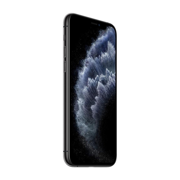 Apple iPhone 11 Pro Max Space Gray 256GB B Obnovljeno