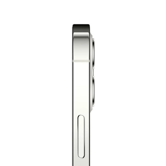 Apple iPhone 12 Pro Max Silver 128GB B Obnovljeno