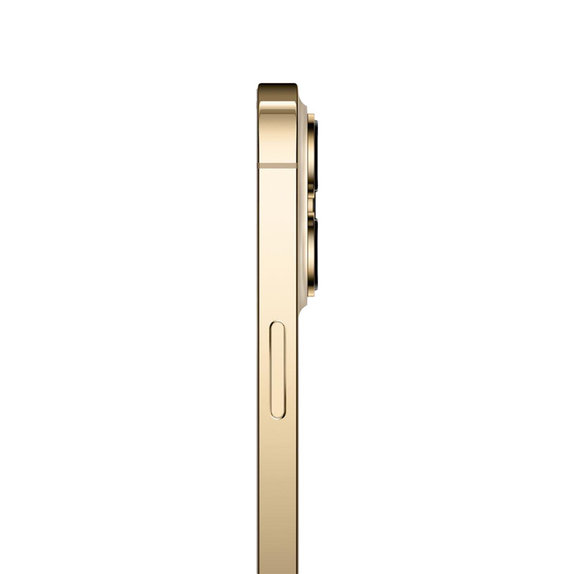 Apple iPhone 13 Pro Max Gold 1TB A Obnovljeno