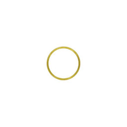 Apple iPhone XR - Okvir stražnje leće kamere (žuti)