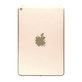 Apple iPad Mini 5 - Stražnje Maska 4G verzija (zlato)