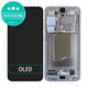 Samsung Galaxy S25 - LCD zaslon + zaslon osjetljiv na dodir + okvir (Silver Shadow) OLED