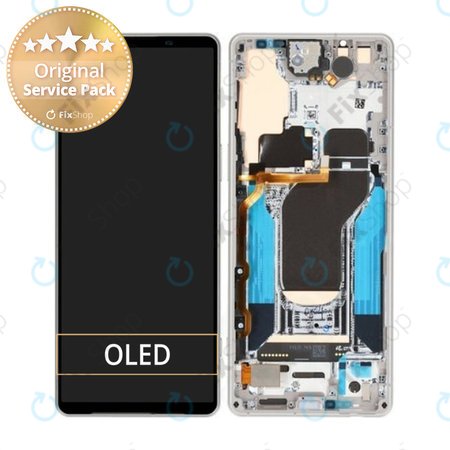 Sony Xperia 1 V - LCD zaslon + zaslon osjetljiv na dodir + okvir (Silver) - A5060571A Genuine Service Pack